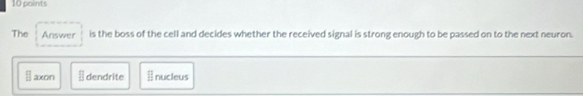 The Answer is the boss of the cell and decides whether the received signal is strong enough to be passed on to the next neuron.
beginarrayr _  axon   dendrite  13/12  nucleus