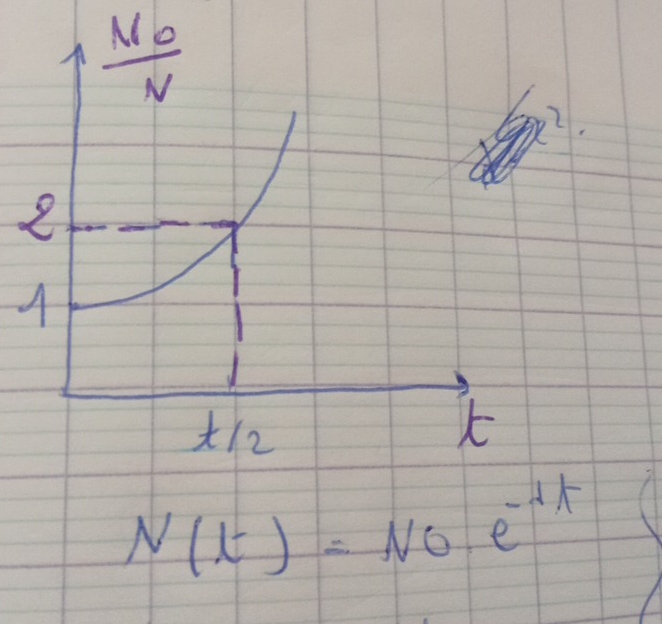 N(t)=NO· e^(-4t)