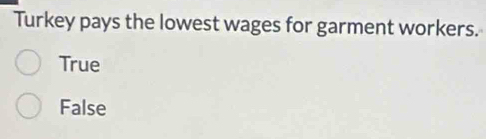 Turkey pays the lowest wages for garment workers.
True
False