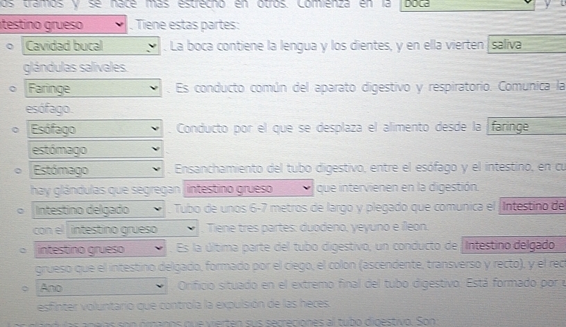 os tramos y se nacé más estrechó en otros. Comienza en la DULE 
testino grueso . Tiene estas partes: 
Cavidad bucal . La boca contiene la lengua y los dientes, y en ella vierten saliva 
glándulas salivales. 
Faringe . Es conducto común del aparato digestivo y respiratorio. Comunica la 
esófago. 
Esófago Conducto por el que se desplaza el alimento desde la faringe 
estómago 
Estómago Ensanchamiento del tubo digestivo, entre el esófago y el intestino, en cu 
hay glándulas que segregan /intestino grueso que intervienen en la digestión. 
Intestino delgado Tubo de unos 6-7 metros de largo y plegado que comunica el ¡Intestino del 
con el intéstino grueso . Tiene tres partes: duodeno, yeyuno e íleon. 
intestino grueso . Es la última parte del tubo digestivo, un conducto de Intestino delgado 
grueso que el intestino delgado, formado por el ciego, el colon (ascendente, transverso y recto), y el rec 
Ano Orificio situado en el extremo final del tubo digestivo. Está formado pore 
esfinter voluntario que controla la expulsión de las heces. 
áu las apeías son óranos que vierten sus secreciones al tubo dipestivo. Son: