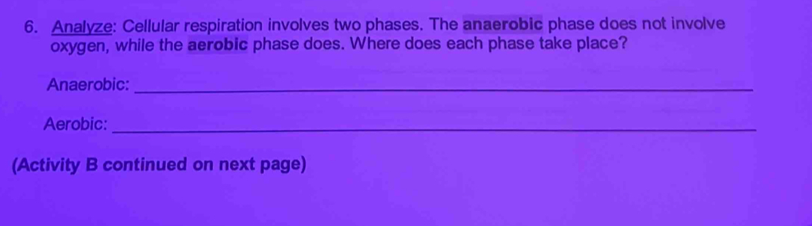 Analyze: Cellular respiration involves two phases. The anaerobic phase does not involve 
oxygen, while the aerobic phase does. Where does each phase take place? 
Anaerobic:_ 
Aerobic:_ 
(Activity B continued on next page)