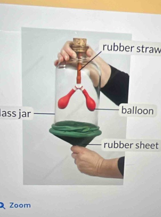 rubber straw 
lass jar 
n 
rubber sheet 
Zoom