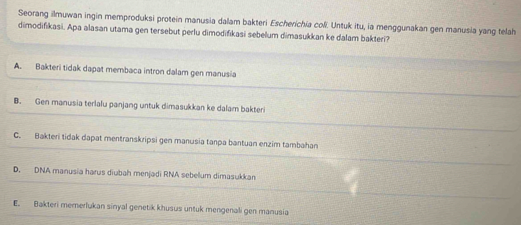 Seorang ilmuwan ingin memproduksi protein manusia dalam bakteri Escherichia coli. Untuk itu, ia menggunakan gen manusia yang telah
dimodifikasi. Apa alasan utama gen tersebut perlu dimodifikasi sebelum dimasukkan ke dalam bakteri?
A. Bakteri tidak dapat membaca intron dalam gen manusia
B. Gen manusia terlalu panjang untuk dimasukkan ke dalam bakteri
C. Bakteri tidak dapat mentranskripsi gen manusia tanpa bantuan enzim tambahan
D. DNA manusia harus diubah menjadi RNA sebelum dimasukkan
E. Bakteri memerlukan sinyal genetik khusus untuk mengenali gen manusia