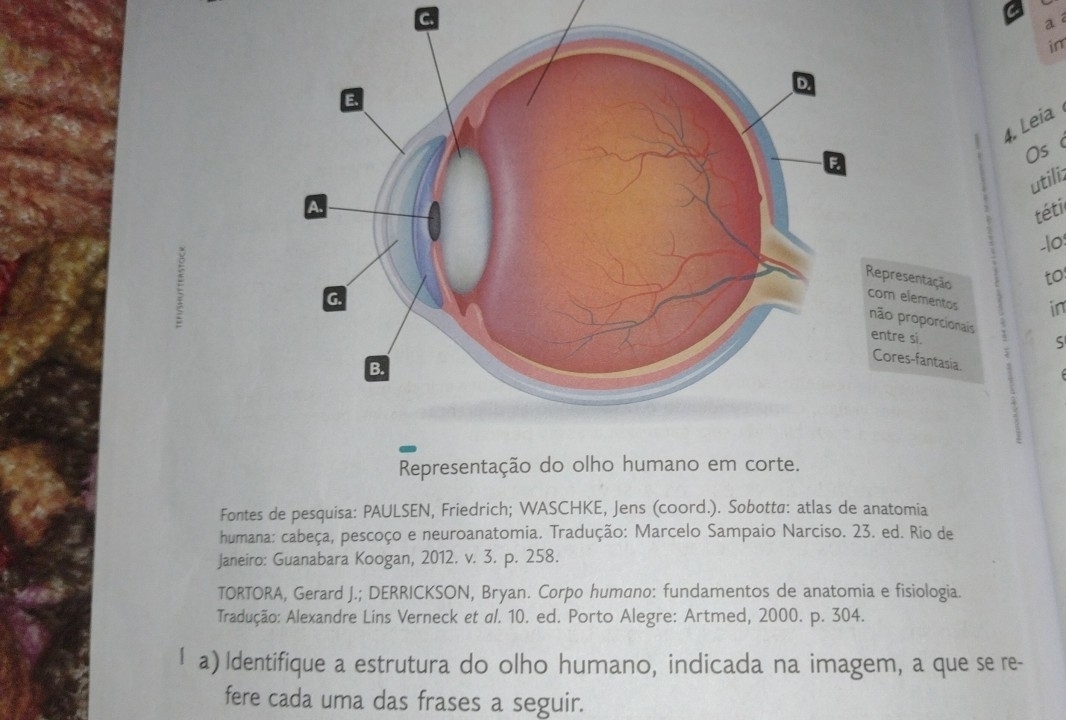 a 
in 
. Leia 
Os 
utili: 
téti 
_10 
to 
in 
S 
Representação do olho humano em corte. 
Fontes de pesquisa: PAULSEN, Friedrich; WASCHKE, Jens (coord.). Sobotta: atlas de anatomia 
humana: cabeça, pescoço e neuroanatomia. Tradução: Marcelo Sampaio Narciso. 23. ed. Rio de 
Janeiro: Guanabara Koogan, 2012. v. 3. p. 258. 
TORTORA, Gerard J.; DERRICKSON, Bryan. Corpo humano: fundamentos de anatomia e fisiologia. 
Tradução: Alexandre Lins Verneck et a/. 10. ed. Porto Alegre: Artmed, 2000. p. 304. 
I a) Identifique a estrutura do olho humano, indicada na imagem, a que se re- 
fere cada uma das frases a seguir.