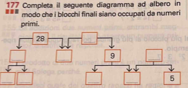 177 Completa il seguente diagramma ad albero in 
modo che i blocchi finali siano occupati da numeri 
primi. 
__