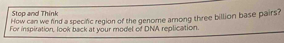 Stop and Think 
How can we find a specific region of the genome among three billion base pairs? 
For inspiration, look back at your model of DNA replication.