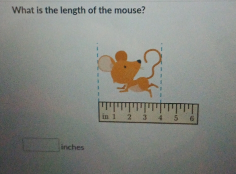 What is the length of the mouse?
inches