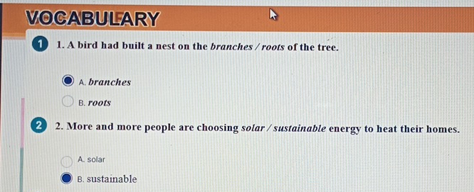 VOCABULARY
1 1. A bird had built a nest on the branches / roots of the tree.
A. branches
B. roots
2 2. More and more people are choosing solar / sustainable energy to heat their homes.
A. solar
B. sustainable