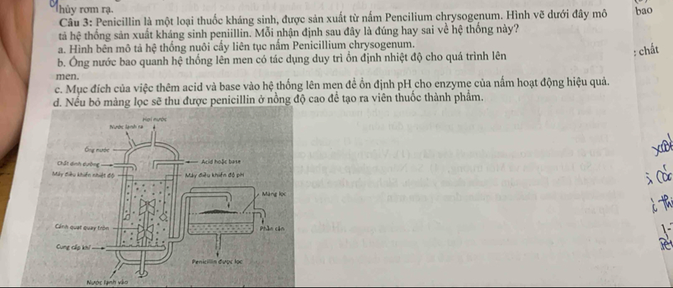 Thủ y rơm rạ. bao
Câu 3: Penicillin là một loại thuốc kháng sinh, được sản xuất từ nấm Pencilium chrysogenum. Hình vẽ dưới đây mô
tả hệ thống sản xuất kháng sinh peniillin. Mỗi nhận định sau đây là đúng hay sai về hệ thống này?
a. Hình bên mô tả hệ thống nuôi cấy liên tục nấm Penicillium chrysogenum.
: chất
b. Ông nước bao quanh hệ thống lên men có tác dụng duy trì ổn định nhiệt độ cho quá trình lên
men.
c. Mục đích của việc thêm acid và base vào hệ thống lên men đề ổn định pH cho enzyme của nấm hoạt động hiệu quả.
d. Nếu bỏ màng lọc sẽ thu được penicillin ở nồng độ cao để tạo ra viên thuốc thành phẩm.
Nước lanh vàn