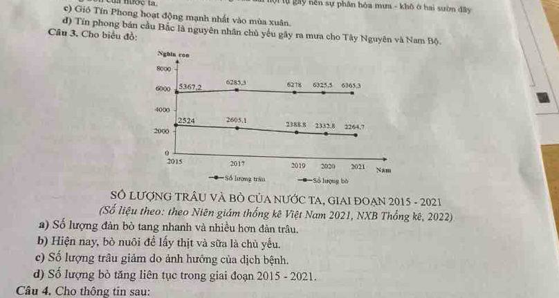 cu nược ta. ộ lự gay nền sự phân hỏa mưa - khô ở hai sườn đây
c) Gió Tín Phong hoạt động mạnh nhất vào mùa xuân.
d) Tín phong bản cầu Bắc là nguyên nhân chủ yểu gây ra mưa cho Tây Nguyên và Nam Bộ
Câu 3. Cho biểu đồ:
SÔ LƯợNG TRÂU VÀ BÒ CủA NƯỚC TA, GIAI ĐOẠN 2015 - 2021
(Số liệu theo: theo Niên giám thống kê Việt Nam 2021, NXB Thống kê, 2022)
a) Số lượng đàn bò tang nhanh và nhiều hơn đản trâu.
b) Hiện nay, bò nuôi để lấy thịt và sữa là chủ yếu.
c) Số lượng trâu giảm do ảnh hướng của dịch bệnh.
d) Số lượng bò tăng liên tục trong giai đoạn 2015 - 2021.
Câu 4. Cho thông tin sau: