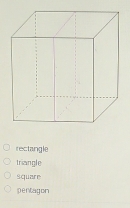 rectangle
triangle
Square
pentagon