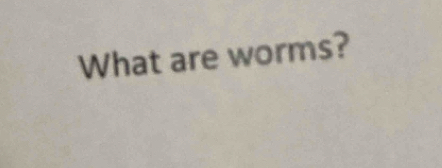 What are worms?