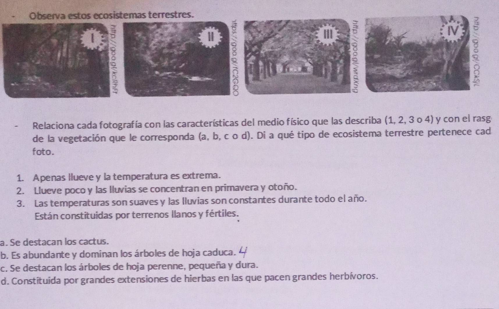 Observa estos ecosistemas terrestres.
| E
Ⅱ a
I
IV
Relaciona cada fotografía con las características del medio físico que las describa (1, 2, 3 o 4) y con el rasg
de la vegetación que le corresponda (a, b, c o d). Di a qué tipo de ecosistema terrestre pertenece cad
foto.
1. Apenas llueve y la temperatura es extrema.
2. Llueve poco y las Iluvias se concentran en primavera y otoño.
3. Las temperaturas son suaves y las lluvias son constantes durante todo el año.
Están constituidas por terrenos llanos y fértiles.
a. Se destacan los cactus.
b. Es abundante y dominan los árboles de hoja caduca.
c. Se destacan los árboles de hoja perenne, pequeña y dura.
d. Constituida por grandes extensiones de hierbas en las que pacen grandes herbívoros.