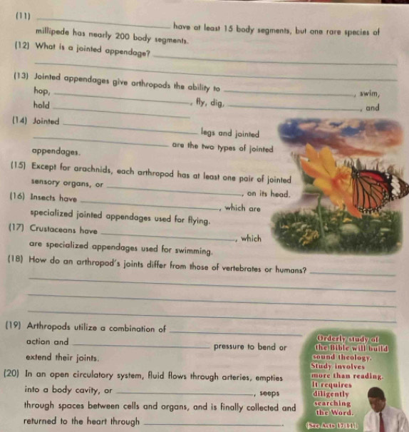 (11) _have at least 15 body segments, but one rare species of 
millipede has nearly 200 body segments. 
_ 
[12] What is a jointed appendage? 
_ 
(13) Jointed appendages give arthropods the ability to_ 
, awim, 
hop, _, fly, dig,_ 
hold_ 
, and 
(14) Jointed_ 
_ 
legs and jointed 
are the two types of jointed 
appendages. 
(15) Except for arachnids, each arthropod has at least one pair of jointed 
sensory organs, or_ 
, on its head. 
(16) Insects have _, which are 
specialized jointed appendages used for flying. 
_ 
(17) Crustaceans have 
,which 
are specialized appendages used for swimming. 
_ 
(18) How do an arthropod's joints differ from those of vertebrates or humans?_ 
_ 
_ 
(19) Arthropods utilize a combination of _Orderly study of 
action and _pressure to bend or sound theology. the Bibic will build 
extend their joints. Study involves 
(20) In an open circulatory system, fluid flows through arteries, empties It requires more than reading 
into a body cavity, or _, seeps diligently 
through spaces between cells and organs, and is finally collected and searching the Word. 
returned to the heart through _(See Acts 17:11. 
..
