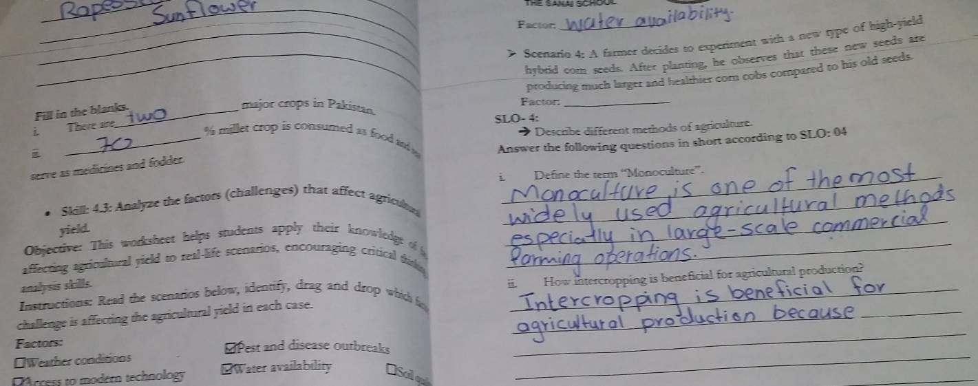 Factón_
_ Scenario 4: A farmer decides to expetiment with a new type of high-yield
_hybrid com seeds. After planting, he observes that these new seeds are
i There are_ producing much larger and healthier cor cobs compared to his old seeds.
Fill in the blanks.
Factor:
major crops in Pakistan
SLO- 4:
i _* Describe different methods of agriculture.
% millet crop is consumed as food and 
Answer the following questions in short according to SLO: 04
serve as medicines and fodder.
i. Define the term “Monoculture”.
_
Skill: 4.3: Analyze the factors (challenges) that affect agriculu_
yield.
Objective: This worksheet helps students apply their knowledge of _
affecting agricultural yield to real-life scenarios, encouraging critical thinke
analysis skills.
How intercropping is beneficial for agricultural production?
Instructions: Read the scenarios below, identify, drag and drop which f_
challenge is affecting the agricultural yield in each case._
_
Factors: ⊥Pest and disease outbreaks
[Weather conditions
_
DArcess to modern technology EWater availability [Sail end