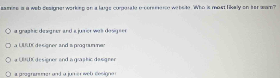 asmine is a web designer working on a large corporate e-commerce website. Who is most likely on her team?
a graphic designer and a junior web designer
a UI/UX designer and a programmer
a UI/UX designer and a graphic designer
a programmer and a junior web designer