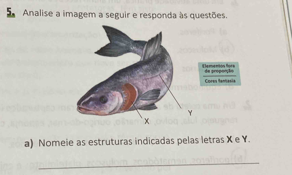 Analise a imagem a seguir e responda às questões. 
Elementos fora 
de proporção 
Cores fantasia 
a) Nomeie as estruturas indicadas pelas letras X e Y. 
_