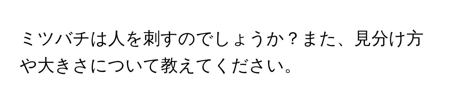 ミツバチは人を刺すのでしょうか？また、見分け方や大きさについて教えてください。