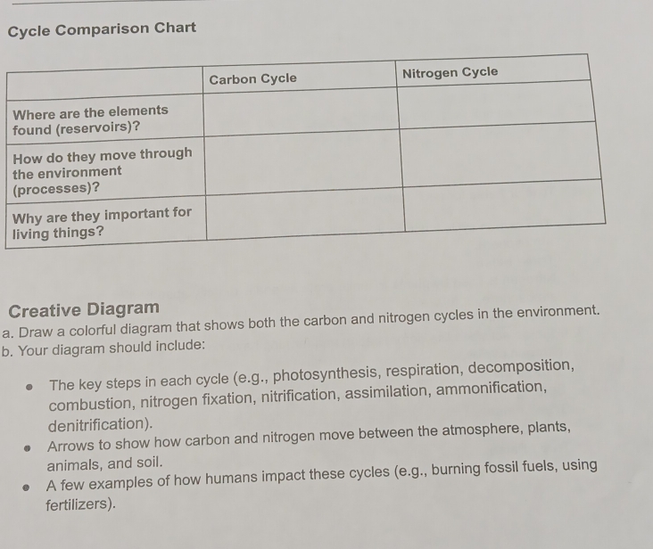 Cycle Comparison Chart 
Creative Diagram 
a. Draw a colorful diagram that shows both the carbon and nitrogen cycles in the environment. 
b. Your diagram should include: 
The key steps in each cycle (e.g., photosynthesis, respiration, decomposition, 
combustion, nitrogen fixation, nitrification, assimilation, ammonification, 
denitrification). 
Arrows to show how carbon and nitrogen move between the atmosphere, plants, 
animals, and soil. 
A few examples of how humans impact these cycles (e.g., burning fossil fuels, using 
fertilizers).