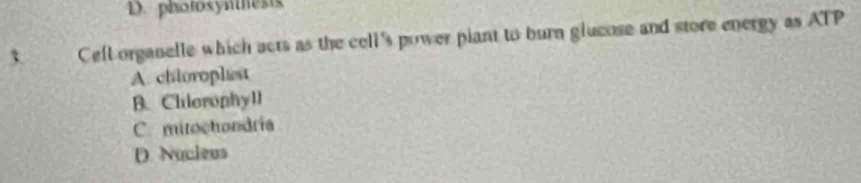 photosynhests
3. Cell organelle which acts as the cell's power piant to burn glucose and store energy as ATP
A. chioroplist
B. Chlerophyll
C. mirochondria
D. Nucleus