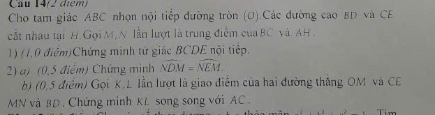 Cầu 14(2 điểm) 
Cho tam giác ABC nhọn nội tiếp đường tròn (O).Các đường cao BD và CE 
cắt nhau tại H Gọi M, N lần lượt là trung điểm của BC và AH. 
1) (1,0 điệm)Chứng minh tứ giác BCDE nội tiếp. 
2) a) (0,5 điêm) Chứng minh widehat NDM=widehat NEM. 
b) (0,5 điểm) Gọi K,L lần lượt là giao điểm của hai đường thăng OM và CE
MN và BD. Chứng minh KL song song với AC.