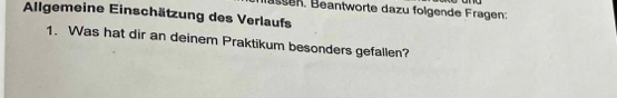 sen Beantworte dazu folgende Fragen: 
Allgemeine Einschätzung des Verlaufs 
1. Was hat dir an deinem Praktikum besonders gefallen?