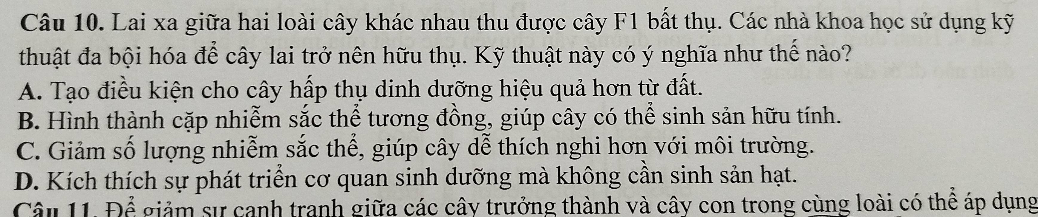 Lai xa giữa hai loài cây khác nhau thu được cây F1 bất thụ. Các nhà khoa học sử dụng kỹ
thuật đa bội hóa để cây lai trở nên hữu thụ. Kỹ thuật này có ý nghĩa như thế nào?
A. Tạo điều kiện cho cây hấp thụ dinh dưỡng hiệu quả hơn từ đất.
B. Hình thành cặp nhiễm sắc thể tương đồng, giúp cây có thể sinh sản hữu tính.
C. Giảm số lượng nhiễm sắc thể, giúp cây dễ thích nghi hơn với môi trường.
D. Kích thích sự phát triển cơ quan sinh dưỡng mà không cần sinh sản hạt.
Câu 11. Để giảm sự canh tranh giữa các cây trưởng thành và cây con trong cùng loài có thể áp dụng