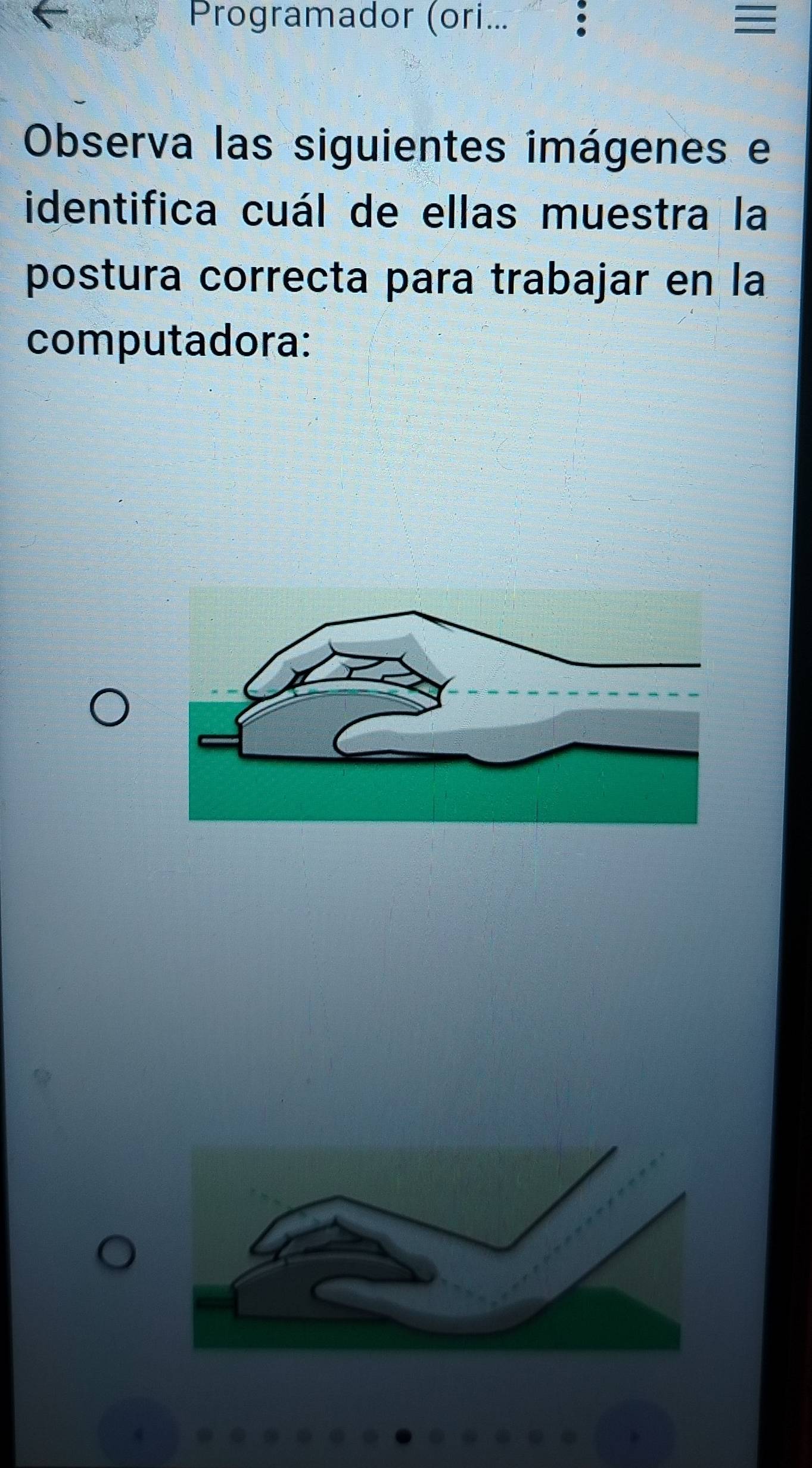 Programador (ori.. 
Observa las siguientes imágenes e 
identifica cuál de ellas muestra la 
postura correcta para trabajar en la 
computadora: