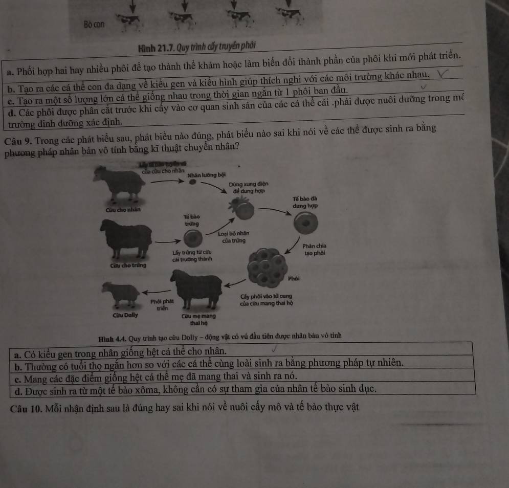 Bò con
Hình 21.7. Quy trình cấy truyền phối
a. Phối hợp hai hay nhiều phôi để tạo thành thể khảm hoặc làm biến đổi thành phần của phôi khi mới phát triển.
b. Tạo ra các cá thể con đa dạng về kiểu gen và kiểu hình giúp thích nghi với các môi trường khác nhau. √
c. Tạo ra một số lượng lớn cá thể giống nhau trong thời gian ngắn từ 1 phôi ban đầu.
d. Các phôi được phân cắt trước khi cấy vào cơ quan sinh sản của các cá thể cái .phải được nuôi dưỡng trong mề
trường dinh dưỡng xác định.
Câu 9. Trong các phát biểu sau, phát biểu nào đúng, phát biểu nào sai khi nói về các thể được sinh ra bằng
phương pháp nhân bản vô tính bằng kĩ thuật chuyển nhân?
Hình 4.4. Quy trình tạo cửu Dolly - động vật có vú đầu tiên được nhân bán vô tính
a. Có kiểu gen trong nhân giống hệt cá thể cho nhân.
b. Thường có tuổi thọ ngắn hơn so với các cá thể cùng loài sinh ra bằng phương pháp tự nhiên.
c. Mang các đặc điểm giống hệt cá thể mẹ đã mang thai và sinh ra nó.
d. Được sinh ra từ một tế bào xôma, không cần có sự tham gia của nhân tế bào sinh dục.
Câu 10. Mỗi nhận định sau là đúng hay sai khi nói về nuôi cấy mô và tế bào thực vật
