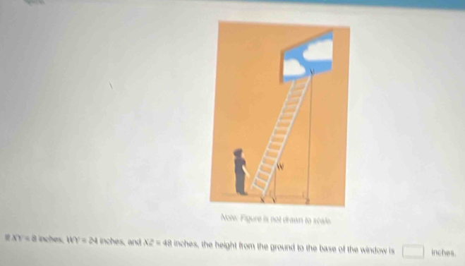 Note: Figure is not drawn to scale.
XY=8 inches. WY=24 inches, and XZ=48 inches, the height from the ground to the base of the window is □ inches.