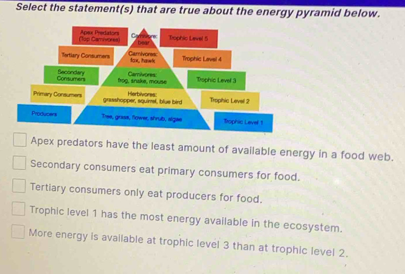 Solved: Select the statement(s) that are true about the energy pyramid ...