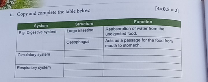 Copy and complete the table below.
[4* 0.5=2]