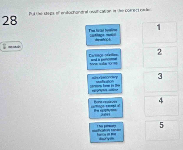 Put the steps of endochondral ossification in the correct order. 
28 
The fetal hyaline 
1 
cartilage model 
develops 
00:34:01 
Cartilage calcifies. 
2 
and a periostea! 
bone collar forms
Secondary 3 
ossification 
centars form in the 
eprphysis.
Bune replaces 4
cartilage except at 
the epiphyseal 
plates. 
The primary 5
ossification center 
forms in the 
diaphysis.