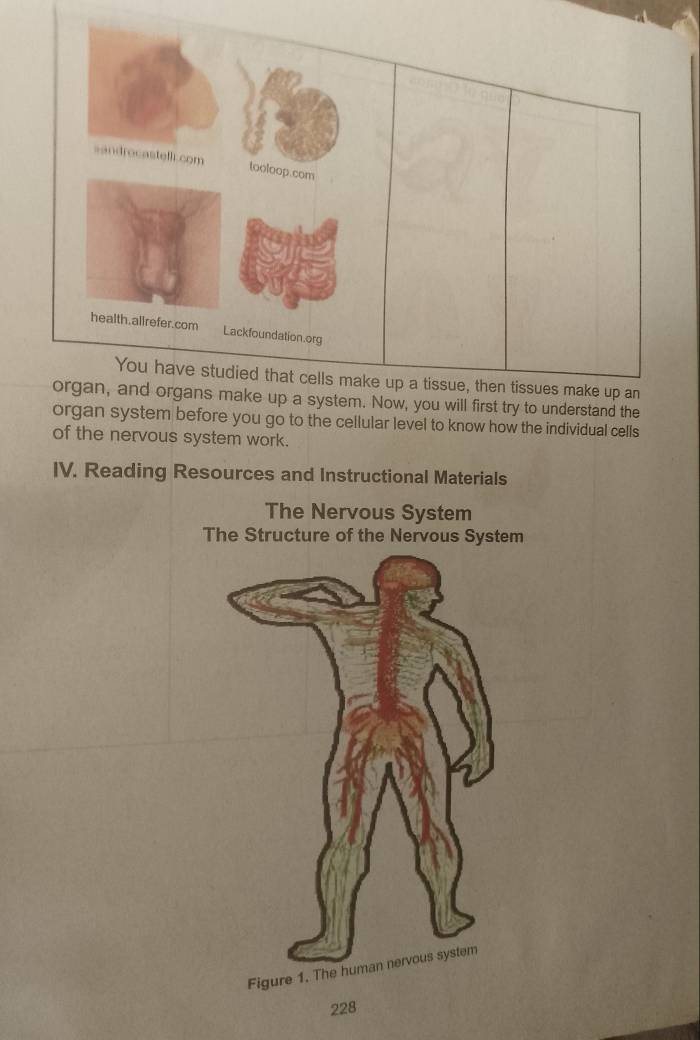 sandrocastell.com tooloop.com 
health.allrefer.com Lackfoundation.org 
You have studied that cells make up a tissue, then tissues make up an 
organ, and organs make up a system. Now, you will first try to understand the 
organ system before you go to the cellular level to know how the individual cells 
of the nervous system work. 
IV. Reading Resources and Instructional Materials 
The Nervous System 
The Structure of the Nervous System