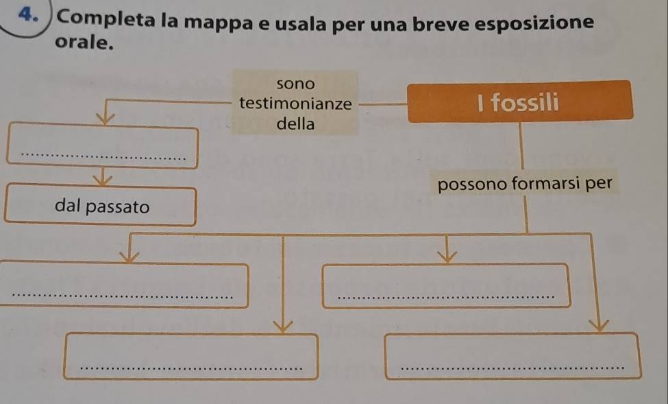 Completa la mappa e usala per una breve esposizione 
orale. 
sono 
testimonianze I fossili 
della 
_ 
possono formarsi per 
dal passato 
_ 
_ 
_ 
_