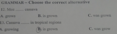 GRAMMAR - Choose the correct alternative
12. Moz ........ cassava
A. grows B. is grown C. was grown
13. Cassava ........ in tropical regions
A. growing B. is grown C. was grow