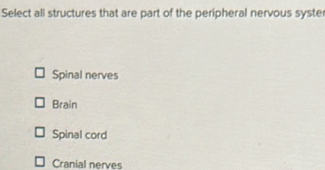 Select all structures that are part of the peripheral nervous syste
Spinal nerves
Brain
Spinal cord
Cranial nerves