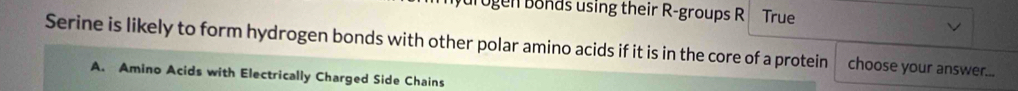 rogen bonds using their R -groups R True
Serine is likely to form hydrogen bonds with other polar amino acids if it is in the core of a protein choose your answer...
A. Amino Acids with Electrically Charged Side Chains