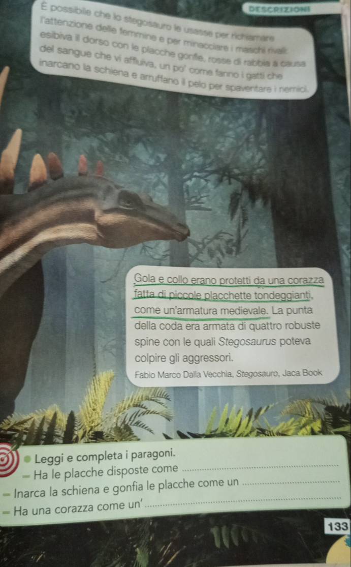 DESCRIZIONI 
É possibile che lo stegosauro le usasse per richiamare 
Tattenzione delle femmine e per minacciare i maschi rival 
esibiva il dorso con le placche gónfe, rosse di rabbia a causa 
del sangue che vi affluiva, un po' come fanno i gatti che 
inarcano la schiena e arruffano il pelo per spaventare i nemici 
Gola e collo erano protetti da una corazza 
fatta di piccole placchette tondeggianti. 
come un'armatura medievale. La punta 
della coda era armata di quattro robuste 
spine con le quali Stegosaurus poteva 
colpire gli aggressori. 
Fabio Marco Dalla Vecchia, Stegosauro, Jaca Book 
Leggi e completa i paragoni. 
= Ha le placche disposte come 
_ 
= Inarca la schiena e gonfia le placche come un_ 
= Ha una corazza come un' 
_
133