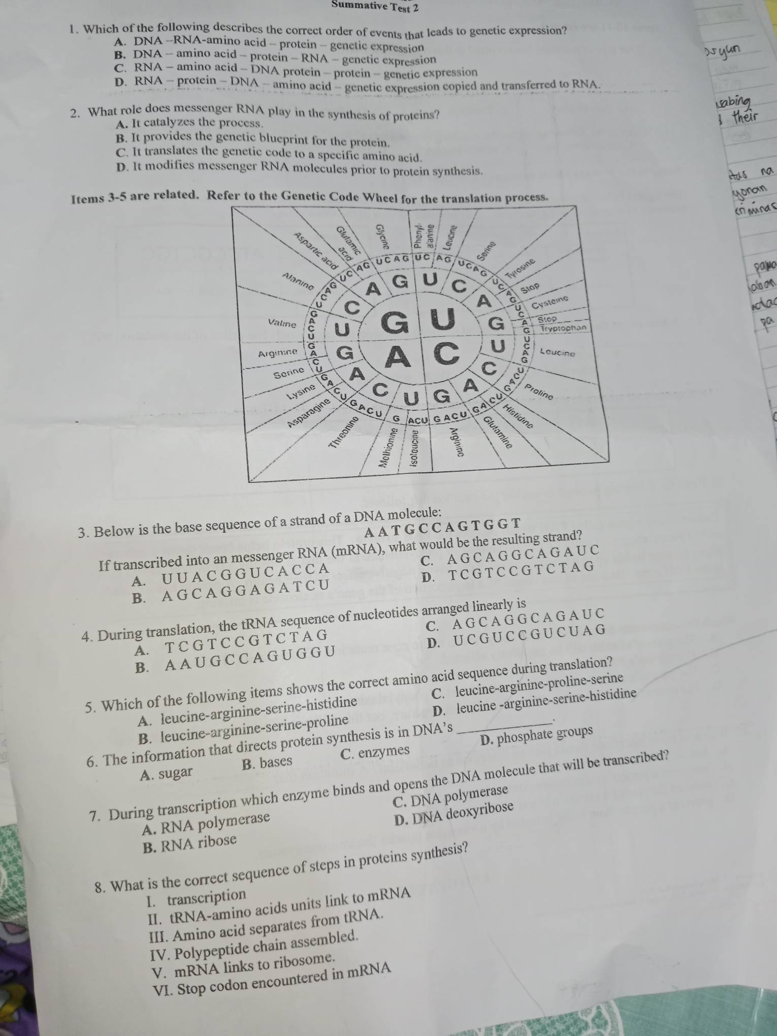 Summative Test 2
1. Which of the following describes the correct order of events that leads to genetic expression?
A. DNA --RNA-amino acid - protein - genetic expression
B. DNA - amino acid - protein - RNA - genetic expression
C. RNA - amino acid - DNA protein - protein - genetic expression
D. RNA - protein - DNA - amino acid - genetic expression copied and transferred to RNA.
2. What role does messenger RNA play in the synthesis of proteins?
A. It catalyzes the process.
B. It provides the genetic blueprint for the protein.
C. It translates the genetic code to a specific amino acid.
D. It modifies messenger RNA molecules prior to protein synthesis.
Items 3-5 are related. Refer to the Genetic Cod
3. Below is the base sequence of a strand of a DNA molecule:
A A T G C C A G T G G T
If transcribed into an messenger RNA (mRNA), what would be the resulting strand?
A. U U A C G G U C A C C A C. A G C A G G C A G A U C
B. A G C A G G A G A T C U D. T C G T C C G T C T A G
4. During translation, the tRNA sequence of nucleotides arranged linearly is
A. T C G T C C G T C T A G C. A G C A G G C A G A U C
B. A A U G C C A G U G G U D. U C G U C C G U C U A G
5. Which of the following items shows the correct amino acid sequence during translation?
A. leucine-arginine-serine-histidine C. leucine-arginine-proline-serine
B. leucine-arginine-serine-proline D. leucine -arginine-serine-histidine
6. The information that directs protein synthesis is in DNA’s _、
A. sugar B. bases C. enzymes D. phosphate groups
7. During transcription which enzyme binds and opens the DNA molecule that will be transcribed?
C. DNA polymerase
A. RNA polymerase
D. DNA deoxyribose
B. RNA ribose
8. What is the correct sequence of steps in proteins synthesis?
I. transcription
II. tRNA-amino acids units link to mRNA
III. Amino acid separates from tRNA.
IV. Polypeptide chain assembled.
V. mRNA links to ribosome.
VI. Stop codon encountered in mRNA