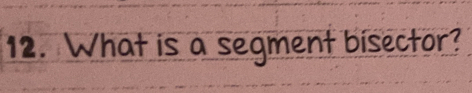 What is a segment bisector?