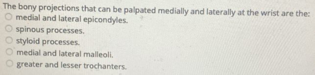 Solved: The bony projections that can be palpated medially and ...
