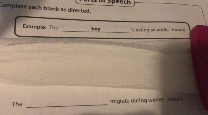 Or Speech 
Complete each blank as directed. 
Example: The _boy is eating an apple. (noun) 
The _migrate during winter. (noun)