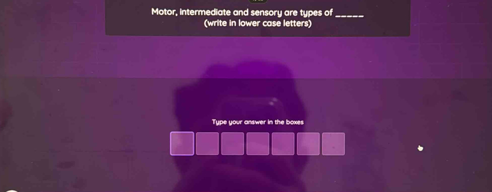 Motor, intermediate and sensory are types of_ 
(write in lower case letters) 
Type your answer in the boxes