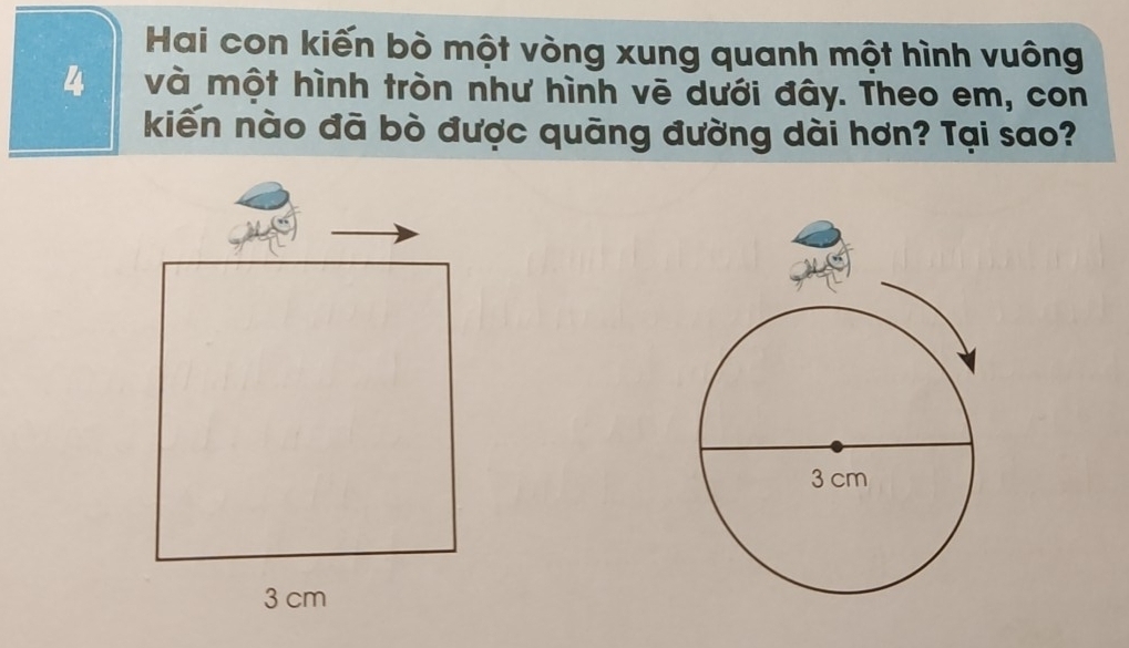 Hai con kiến bò một vòng xung quanh một hình vuông
4 và một hình tròn như hình vē dưới đây. Theo em, con 
kiến nào đã bò được quāng đường dài hơn? Tại sao?