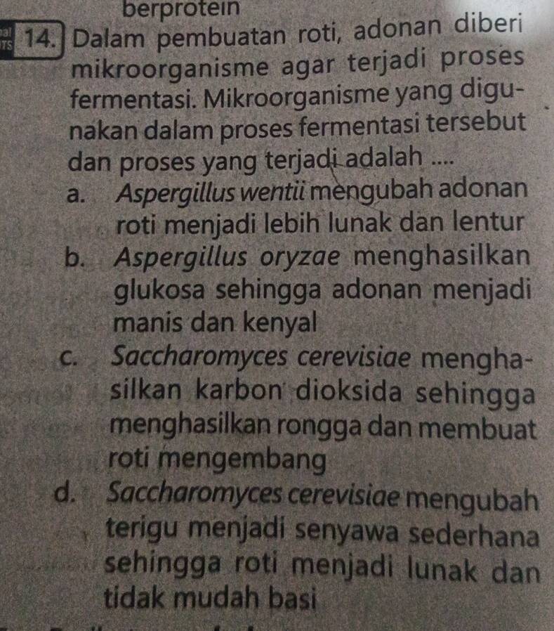 berprotein
TS 14. Dalam pembuatan roti, adonan diberi
mikroorganisme agar terjadi proses
fermentasi. Mikroorganisme yang digu-
nakan dalam proses fermentasi tersebut
dan proses yang terjadi adalah ....
a. Aspergillus wentii mengubah adonan
roti menjadi lebih lunak dan lentur
b. Aspergillus oryzae menghasilkan
glukosa sehingga adonan menjadi
manis dan kenyal
c. Saccharomyces cerevisiae mengha-
silkan karbon dioksida sehingga
menghasilkan rongga dan membuat
roti mengembang
d. Saccharomyces cerevisiae mengubah
terigu menjadi senyawa sederhana
sehingga roti menjadi lunak dan
tidak mudah basi