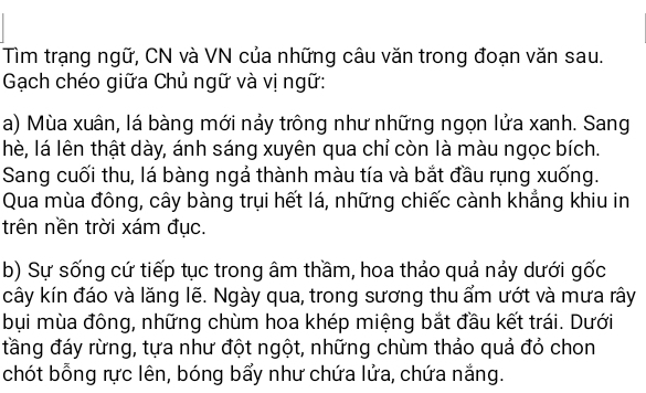 Tìm trạng ngữ, CN và VN của những câu văn trong đoạn văn sau. 
Gạch chéo giữa Chủ ngữ và vị ngữ: 
a) Mùa xuân, lá bàng mới nảy trông như những ngọn lửa xanh. Sang 
hè, lá lên thật dày, ánh sáng xuyên qua chỉ còn là màu ngọc bích. 
Sang cuối thu, lá bàng ngả thành màu tía và bắt đầu rụng xuống. 
Qua mùa đông, cây bàng trụi hết lá, những chiếc cành khẳng khiu in 
trên nền trời xám đục. 
b) Sự sống cứ tiếp tục trong âm thầm, hoa thảo quả nảy dưới gốc 
cây kín đáo và lăng lẽ. Ngày qua, trong sương thu ẩm ướt và mưa rây 
bụi mùa đông, những chùm hoa khép miệng bắt đầu kết trái. Dưới 
tầng đáy rừng, tựa như đột ngột, những chùm thảo quả đó chon 
chót bỗng rực lên, bóng bẩy như chứa lửa, chứa nắng.