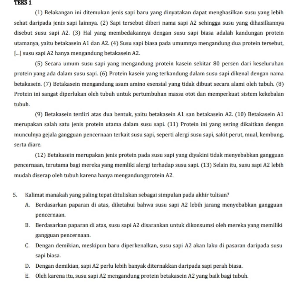 TEKS 1
(1) Belakangan ini ditemukan jenis sapi baru yang dinyatakan dapat menghasilkan susu yang lebih
sehat daripada jenis sapi lainnya. (2) Sapi tersebut diberi nama sapi A2 sehingga susu yang dihasilkannya
disebut susu sapi A2. (3) Hal yang membedakannya dengan susu sapi biasa adalah kandungan protein
utamanya, yaitu betakasein A1 dan A2. (4) Susu sapi biasa pada umumnya mengandung dua protein tersebut,
[...] susu sapi A2 hanya mengandung betakasein A2.
(5) Secara umum susu sapi yang mengandung protein kasein sekitar 80 persen dari keseluruhan
protein yang ada dalam susu sapi. (6) Protein kasein yang terkandung dalam susu sapi dikenal dengan nama
betakasein. (7) Betakasein mengandung asam amino esensial yang tidak dibuat secara alami oleh tubuh. (8)
Protein ini sangat diperlukan oleh tubuh untuk pertumbuhan massa otot dan memperkuat sistem kekebalan
tubuh.
(9) Betakasein terdiri atas dua bentuk, yaitu betakasein A1 san betakasein A2. (10) Betakasein A1
merupakan salah satu jenis protein utama dalam susu sapi. (11) Protein ini yang sering dikaitkan dengan
munculnya gejala gangguan pencernaan terkait susu sapi, seperti alergi susu sapi, sakit perut, mual, kembung,
serta diare.
(12) Betakasein merupakan jenis protein pada susu sapi yang diyakini tidak menyebabkan gangguan
pencernaan, terutama bagi mereka yang memliki alergi terhadap susu sapi. (13) Selain itu, susu sapi A2 lebih
mudah diserap oleh tubuh karena hanya mengandungprotein A2.
5. Kalimat manakah yang paling tepat dituliskan sebagai simpulan pada akhir tulisan?
A. Berdasarkan paparan di atas, diketahui bahwa susu sapi A2 lebih jarang menyebabkan gangguan
pencernaan.
B. Berdasarkan paparan di atas, susu sapi A2 disarankan untuk dikonsumsi oleh mereka yang memiliki
gangguan pencernaan.
C. Dengan demikian, meskipun baru diperkenalkan, susu sapi A2 akan laku di pasaran daripada susu
sapi biasa.
D. Dengan demikian, sapi A2 perlu lebih banyak diternakkan daripada sapi perah biasa.
E. Oleh karena itu, susu sapi A2 mengandung protein betakasein A2 yang baik bagi tubuh.