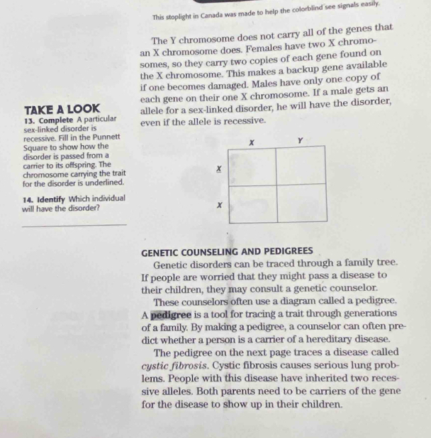 This stoplight in Canada was made to help the colorblind see signals easily. 
The Y chromosome does not carry all of the genes that 
an X chromosome does. Females have two X chromo- 
somes, so they carry two copies of each gene found on 
the X chromosome. This makes a backup gene available 
if one becomes damaged. Males have only one copy of 
each gene on their one X chromosome. If a male gets an 
TAKE A LOOK allele for a sex-linked disorder, he will have the disorder, 
13. Complete A particular 
sex-linked disorder is even if the allele is recessive. 
recessive. Fill in the Punnett 
Square to show how the
x Y
disorder is passed from a 
carrier to its offspring. The 
chromosome carrying the trait
x
for the disorder is underlined. 
14. Identify Which individual 
will have the disorder? x
_ 
GENETIC COUNSELING AND PEDIGREES 
Genetic disorders can be traced through a family tree. 
If people are worried that they might pass a disease to 
their children, they may consult a genetic counselor. 
These counselors often use a diagram called a pedigree. 
A pedigree is a tool for tracing a trait through generations 
of a family. By making a pedigree, a counselor can often pre- 
dict whether a person is a carrier of a hereditary disease. 
The pedigree on the next page traces a disease called 
cystic fibrosis. Cystic fibrosis causes serious lung prob- 
lems. People with this disease have inherited two reces- 
sive alleles. Both parents need to be carriers of the gene 
for the disease to show up in their children.