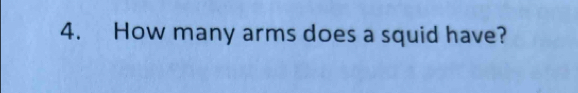 How many arms does a squid have?